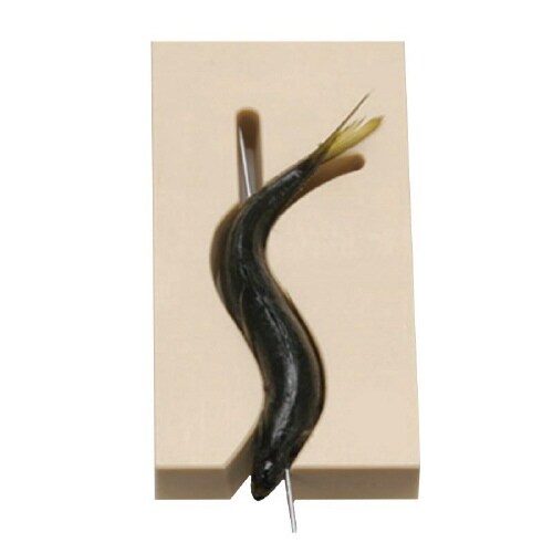 PC魚串打ち器 小 右 2セット