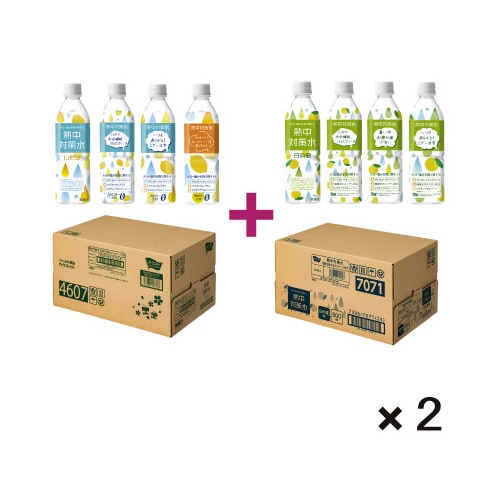 熱中対策水メッセージ付きレモン・日向夏4CS