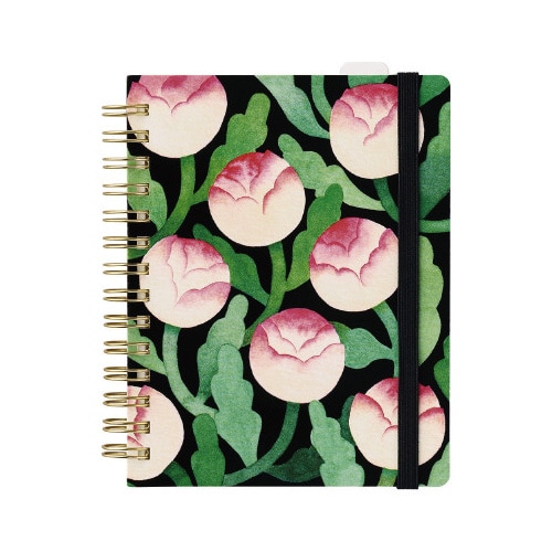 ヒトトキノ−トPR(ブル−ム)x2