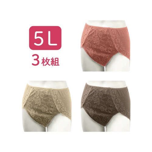 吸水消臭ショーツ レースデザイン 5LPKL