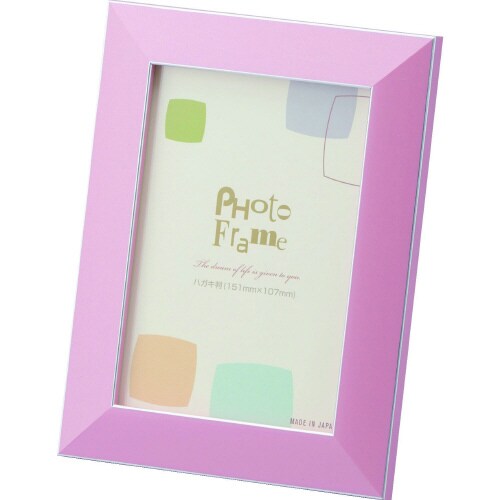 7919 L判 ピンク 2枚入り