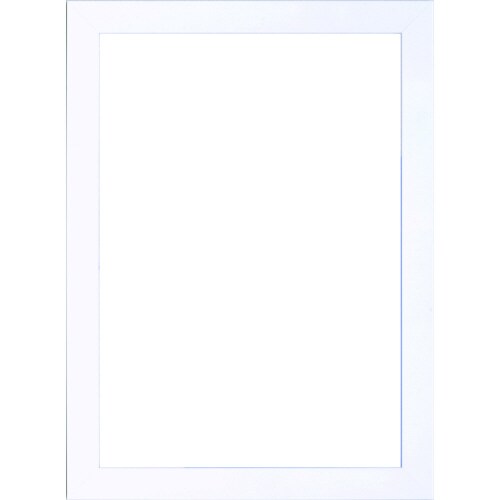 カラーパネル(5906) B4 ホワイト