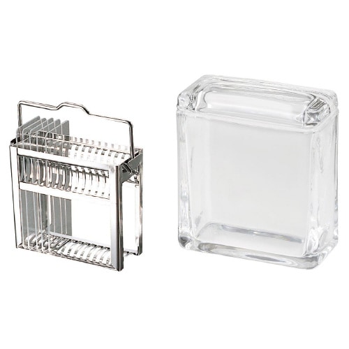 染色セット BGS ×2