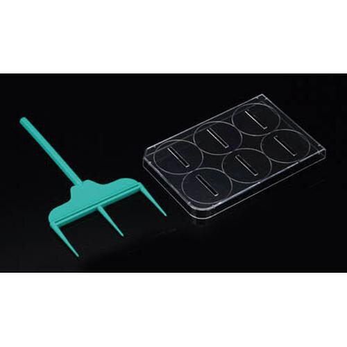 SPLScarスクラッチャSPL201906×2