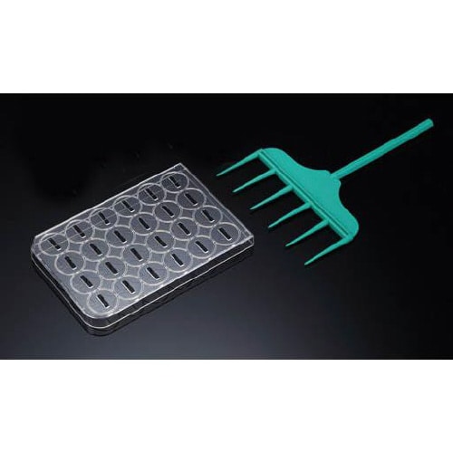 SPLScarスクラッチャSPL201924×2