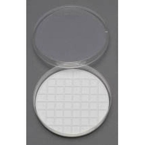 グリッドマット 2781 (2枚入)