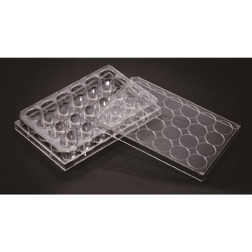 セルカルチャープレート 30024(50枚)