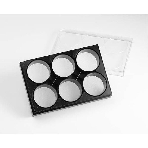 Elplasiaプレート 4440(5個)