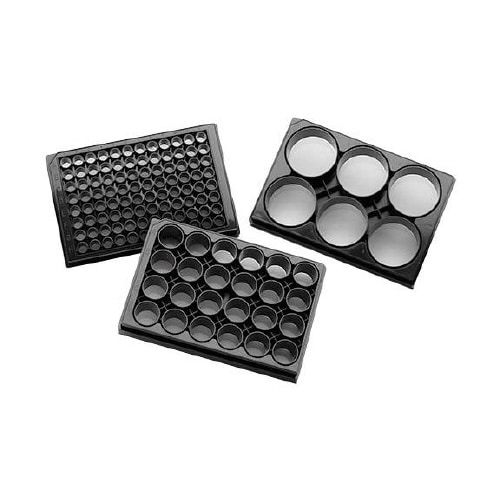 Elplasiaプレート 4442(5個)