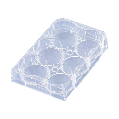 組織培養マルチウェルプレート 3810−006N