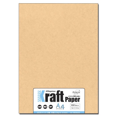 半晒 A4中厚口 100枚×2