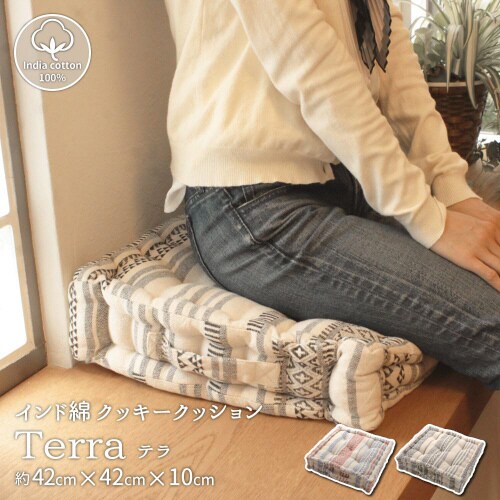 インド綿クッキークッション テラ 2枚組