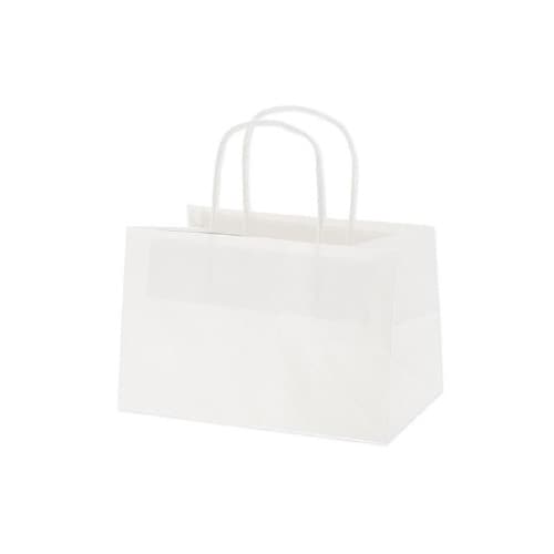 オブロングバッグ 23−15 白無地 20枚×10