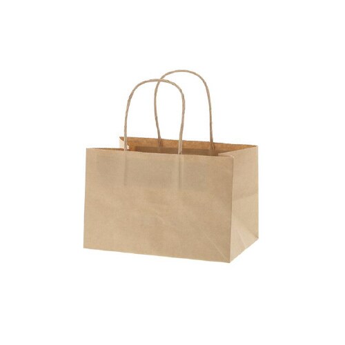 オブロングバッグ 20−13 未晒無地20枚×10