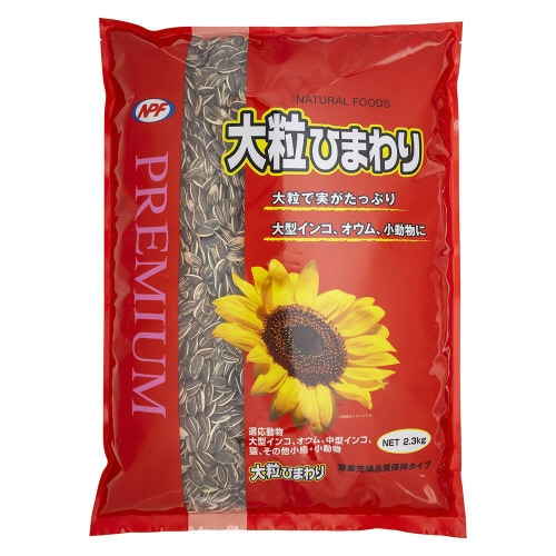 プレミアム 大粒ひまわり