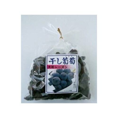 ナガトク 干し葡萄 大粒レーズン 370gx20