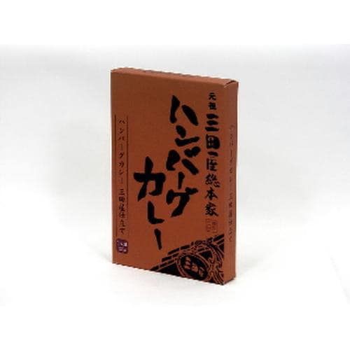 三田屋総本家 ハンバーグカレー 220gx10