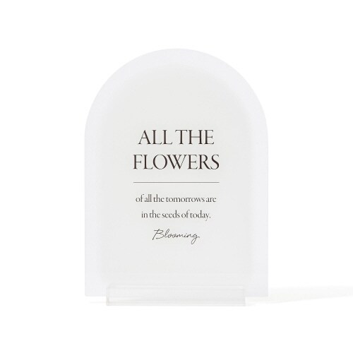 アクリル アートボード S ホワイト×3