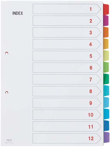 カラーインデックスPP A4 12山 50組