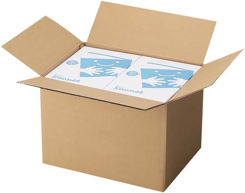 無地ダンボール No.3−3(底面A3) 10枚