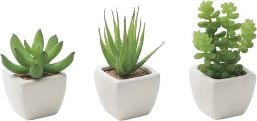 人工植物 多肉植物3種セット