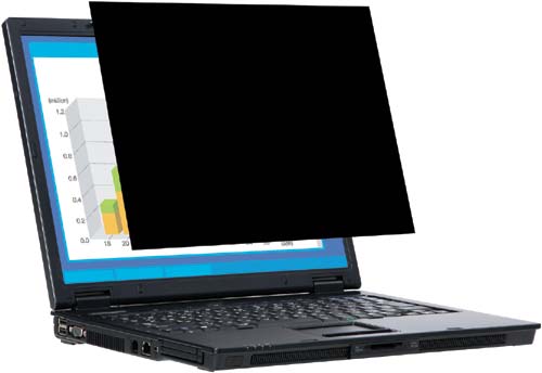 セキュリティプライバシーフィルター 22型W