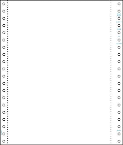 ストックフォーム B5タテ2P 白紙 250セット