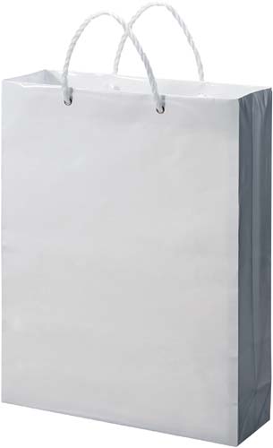 白無地ビニールカバーバッグ 大 10枚