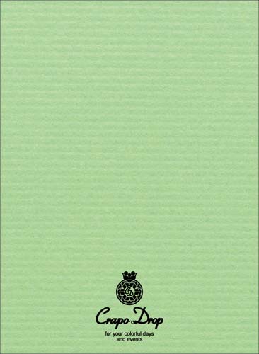 名刺10面 クラッポドロップ キウイ10枚