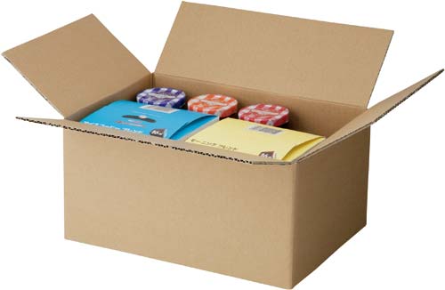 無地小型ダンボール L (底面B5) 100枚