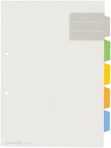 カラーインデックスPP A4縦5色5山5組×10