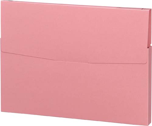 ケースファイル 高級色板紙 A4縦 桃 30冊