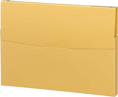 ケースファイル 高級色板紙 A4縦 黄 30冊