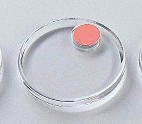 強力カラーマグネットクリヤー40mm2個入桃