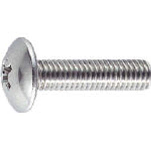 トラス頭小ネジ ステンレス サイズM6×12