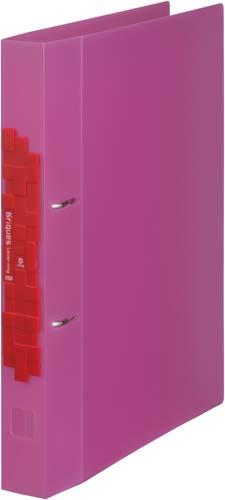 ブリックスLRファイルDタイプ(透明)赤 10冊入