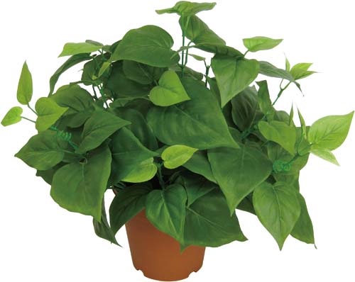 人工植物 ライムポトス 高さ360