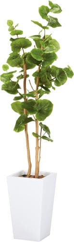 人工植物 シーグレープ鉢ホワイト高さ1500光触媒