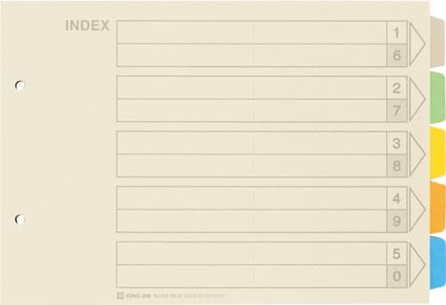 カラーインデックス B5横 2穴 5山 10組