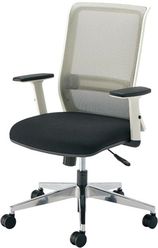 エントリーホワイトアルミ脚肘付ブラック