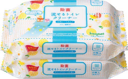 流せるトイレクリーナー大判 GF 2個入