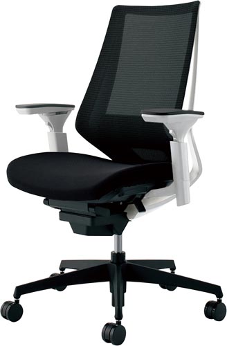 デュオラメッシュ白樹脂脚ランバー可動肘ブラックV