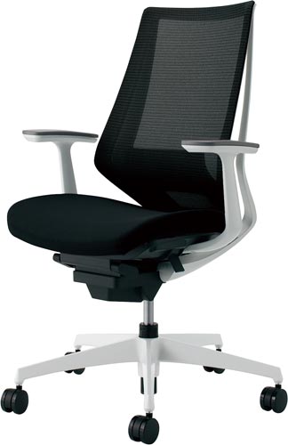 デュオラメッシュ白樹脂C脚ランバーT肘ブラックW