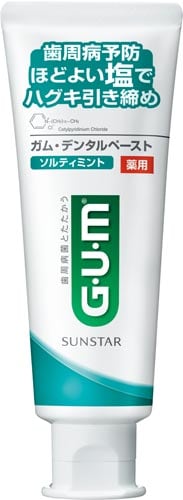 GUMデンタルペーストソルティミントST