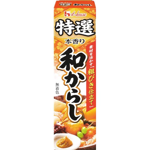 特選和からし 42g 10個×2