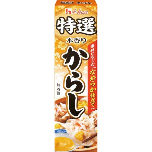 特選からし 42g 10個×2