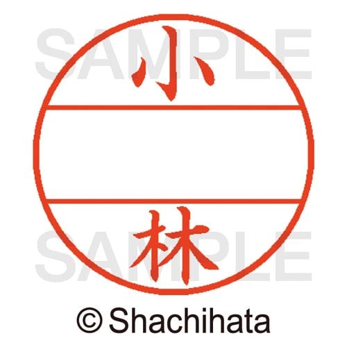 データーネームEX15号 マスター部 既製 小林