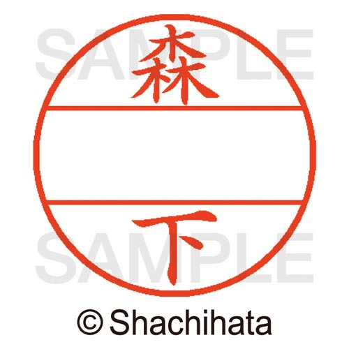 データーネームEX15号 マスター部 既製 森下