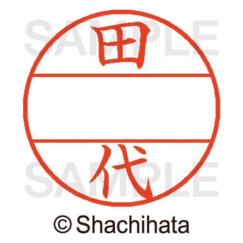 データーネームEX15号 マスター部 既製 田代