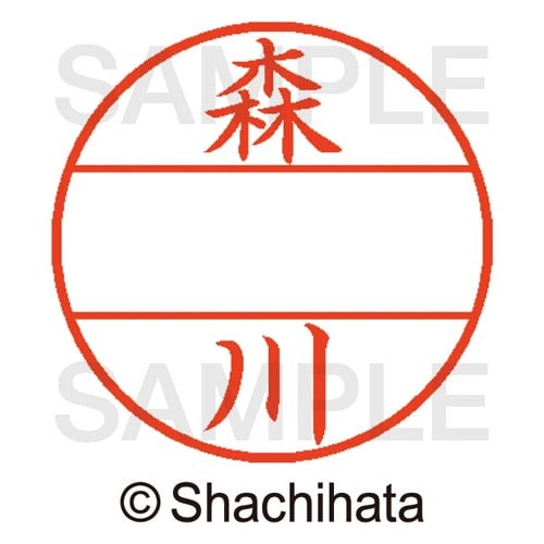 データーネームEX15号 マスター部 既製 森川